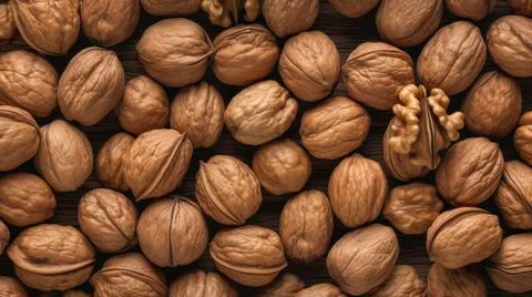 Organic Walnut Nuts Horizontal Background. 스톡 일러스트