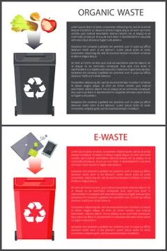 Organic Waste and E-Waste Set Vector Illustration Illustrazione stock