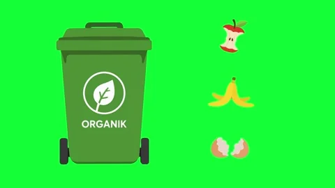 Organic waste bin animated sorting food scraps and eggshell in 4k green scr.. Stock Footage 342539859