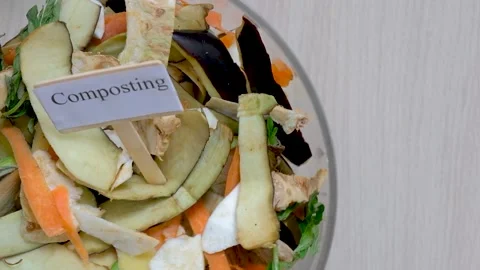 Organic waste box for compost Stock Footage 154476824