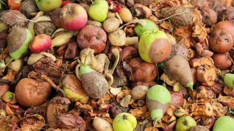 Organic waste falling from a bucket into a compost pit Video stock 224077764