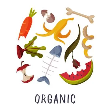 Organic Waste, Garbage Sorting, Segregation and Separation of Rubbish Vector Stock Illustration