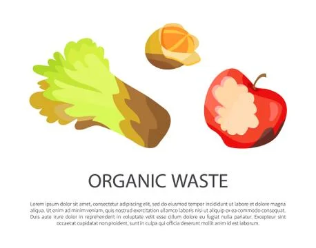 Organic Waste Poster Text Vector Illustration Illustrazione stock