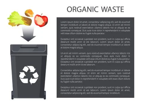 Organic Waste Throwing in Bin Vector Illustration Illustrazione stock