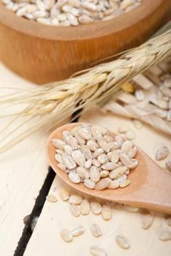 Organic wheat grains Stock Photos