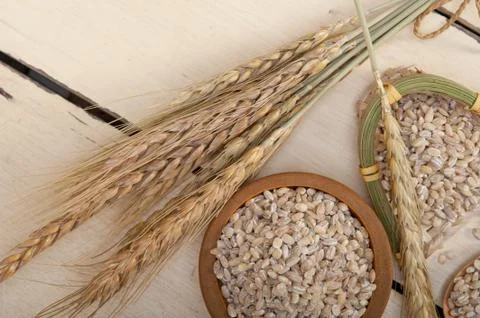Organic wheat grains Stock Photos