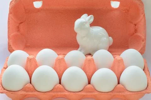 Organic white eggs in egg box. Close up. Stock Photos