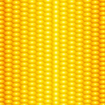 Organic Yellow Fresh Corn Pattern. Natural Gold Sweet Food Background. Stock Illustration