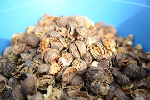 Organic_walnut 写真素材
