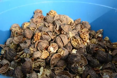 Organic_walnut Stock Photos