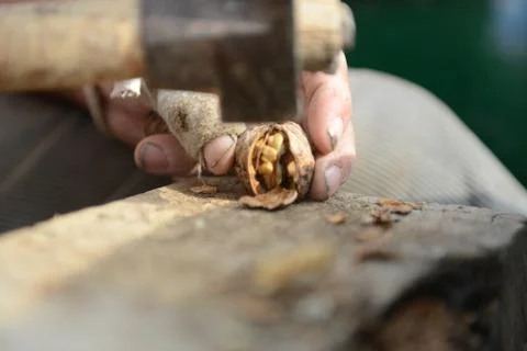Organic_walnut Stock Photos