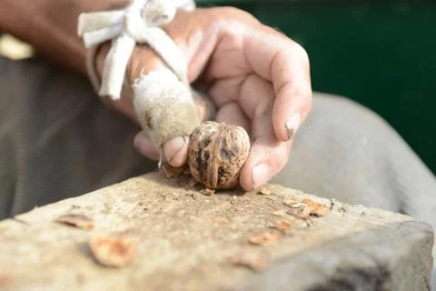 Organic_walnut Stock Photos