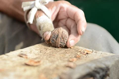 Organic_walnut Stock Photos