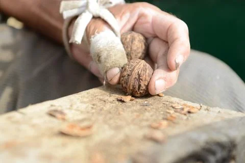 Organic_walnut 写真素材