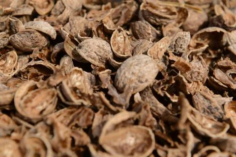 Organic_walnut Stock Photos