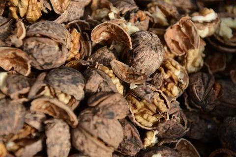 Organic_walnut Stock Photos
