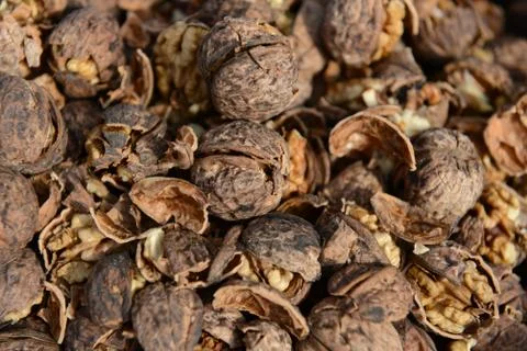 Organic_walnut Stock Photos