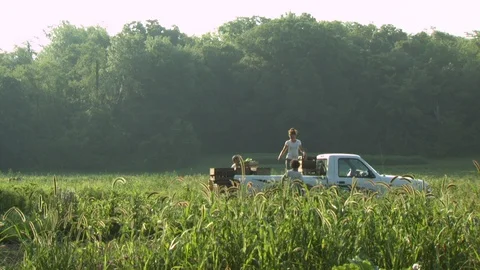 OrganicFar 022-C0011 Stock Footage 123724491