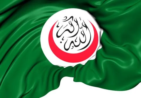 Organisation of islamic cooperation flag Stock Illustration