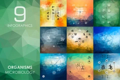 Organisms infographic with unfocused background Stock Illustration