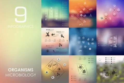 Organisms infographic with unfocused background Stock Illustration