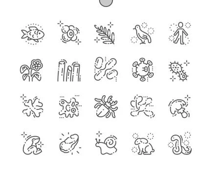 Organisms Well-crafted Pixel Perfect Vector Thin Line Icons 30 2x Grid for Web Stock Illustration