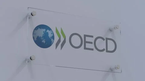 Organization for Economic Cooperation and Development OECD Flag Logo Plate with Stock Footage 253553430