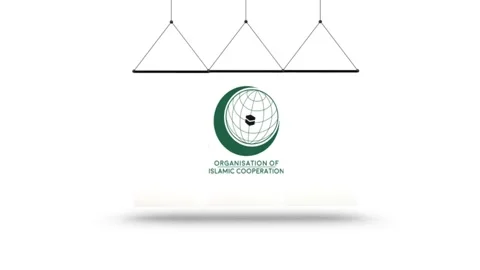 Organization of Islamic Cooperation Flag Stock Footage 154372117