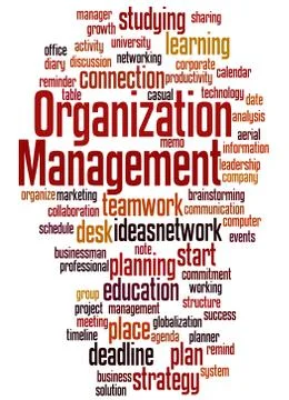 Organization Management, word cloud concept 스톡 일러스트
