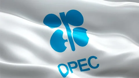 Organization of Petroleum Exporting Countries flag. 3d OPEC logo waving video. Stock Footage 169984384