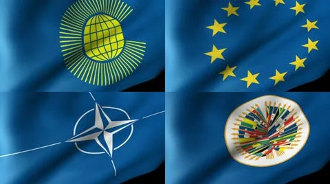 Organizations Flag Waving Stock-Footage 20487109