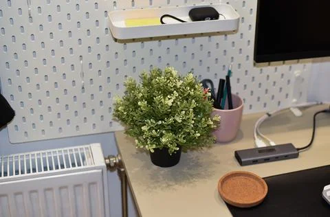 Organized Desk Setup Pegboard Wall Faux Plant Home Office Workspace Close Up Foto stock