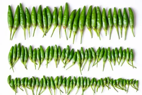 Organized horizontal rows of fresh green bird's eye chilies or cabe rawit hijau Stock Photos