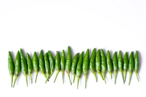 Organized horizontal rows of fresh green bird's eye chilies or cabe rawit hijau Stock Photos