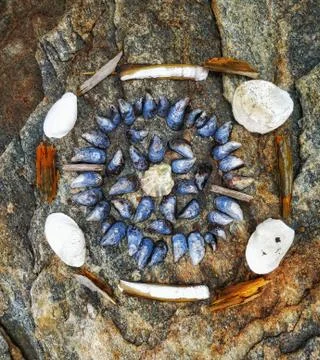Organized seashells in artistic pattern on cliff Stock Photos