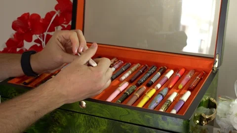 Organized Stylish Pens in a Case Perfect Setup Stock Footage 302812401
