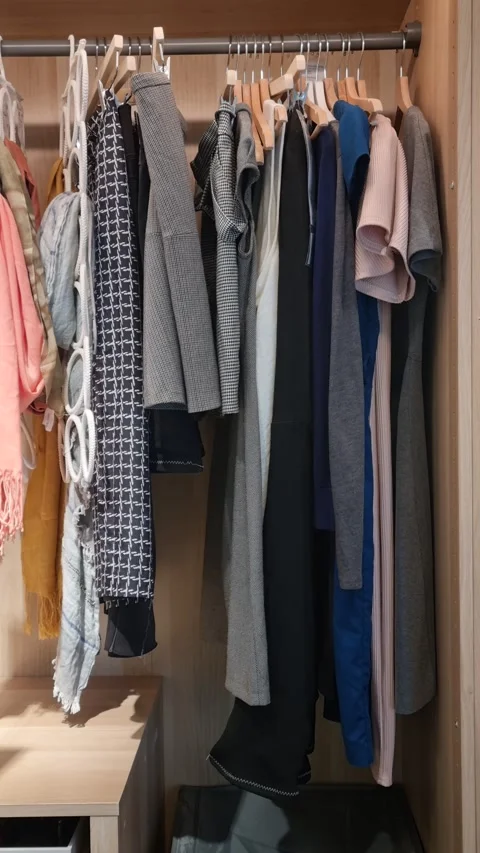 Organized Wardrobe with Hanging Clothes 스톡 동영상 321461736