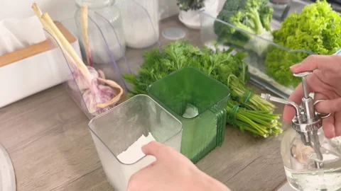 Organizing and Storing Green Vegetables in the Fridge.Healthy Stock Footage 311053667