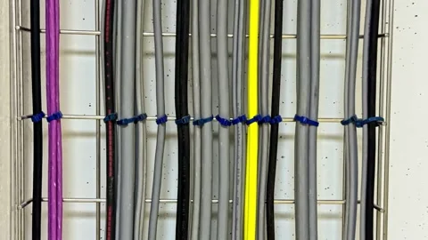 Organizing data cables in network server rack with colored wire ties, Multiple Stock Footage 332249681