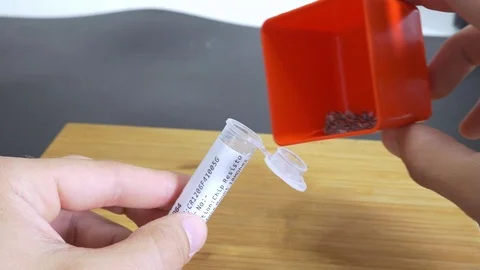Organizing Small SMD Electronics Components Resistors in Plastic Test Tube Stock Footage 115828624