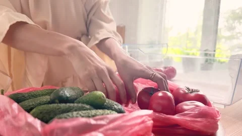 Organizing Vegetables Storing Tomatoes and Cucumbers in Kitchen Stock Footage 311068297