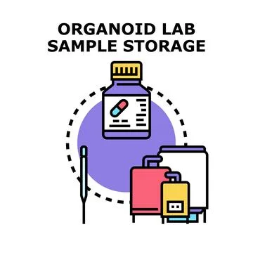 Organoid lab sample storage biotechnology research process Illustrazione stock
