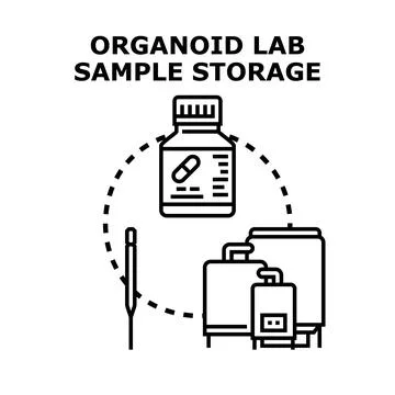 Organoid lab sample storage biotechnology research process Illustrazione stock