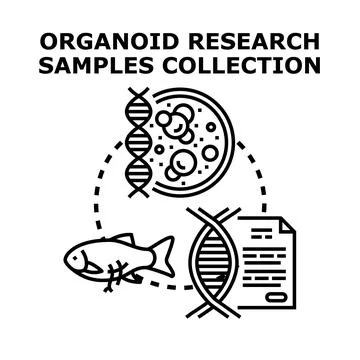 Organoid research samples collection and genetic testing 스톡 일러스트