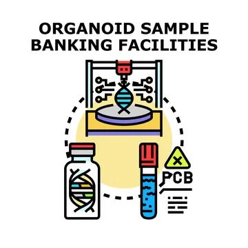 Organoid sample banking facilities and biotechnology research Stock Illustration