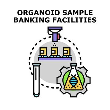 Organoid sample banking facilities, science concept illustration Illustrazione stock