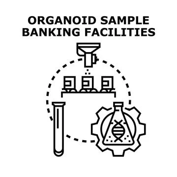 Organoid sample banking facilities, science concept illustration Illustrazione stock