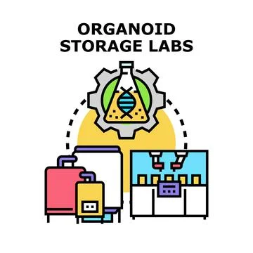 Organoid storage labs developing medical research technology Stock Illustration