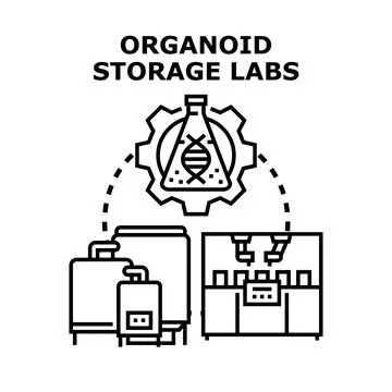 Organoid storage labs developing medical research technology Stock Illustration
