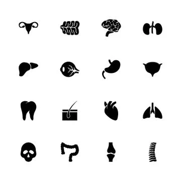 Organs - Flat Vector Icons Stock Illustration
